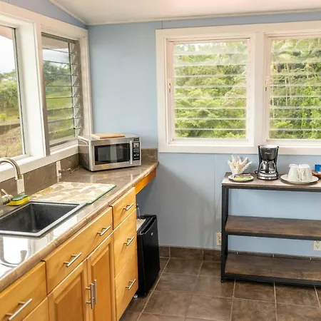 Hilltop Legacy Vacation Rental Hilo Exterior photo